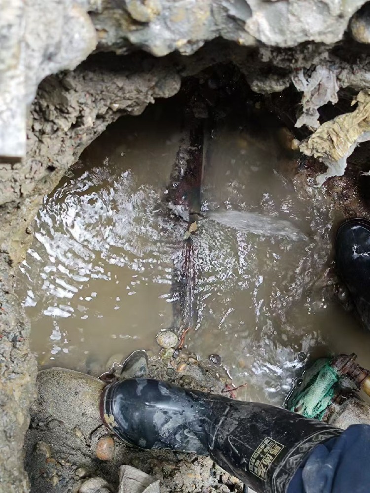 鲁山地区绿化水管漏水检测维修